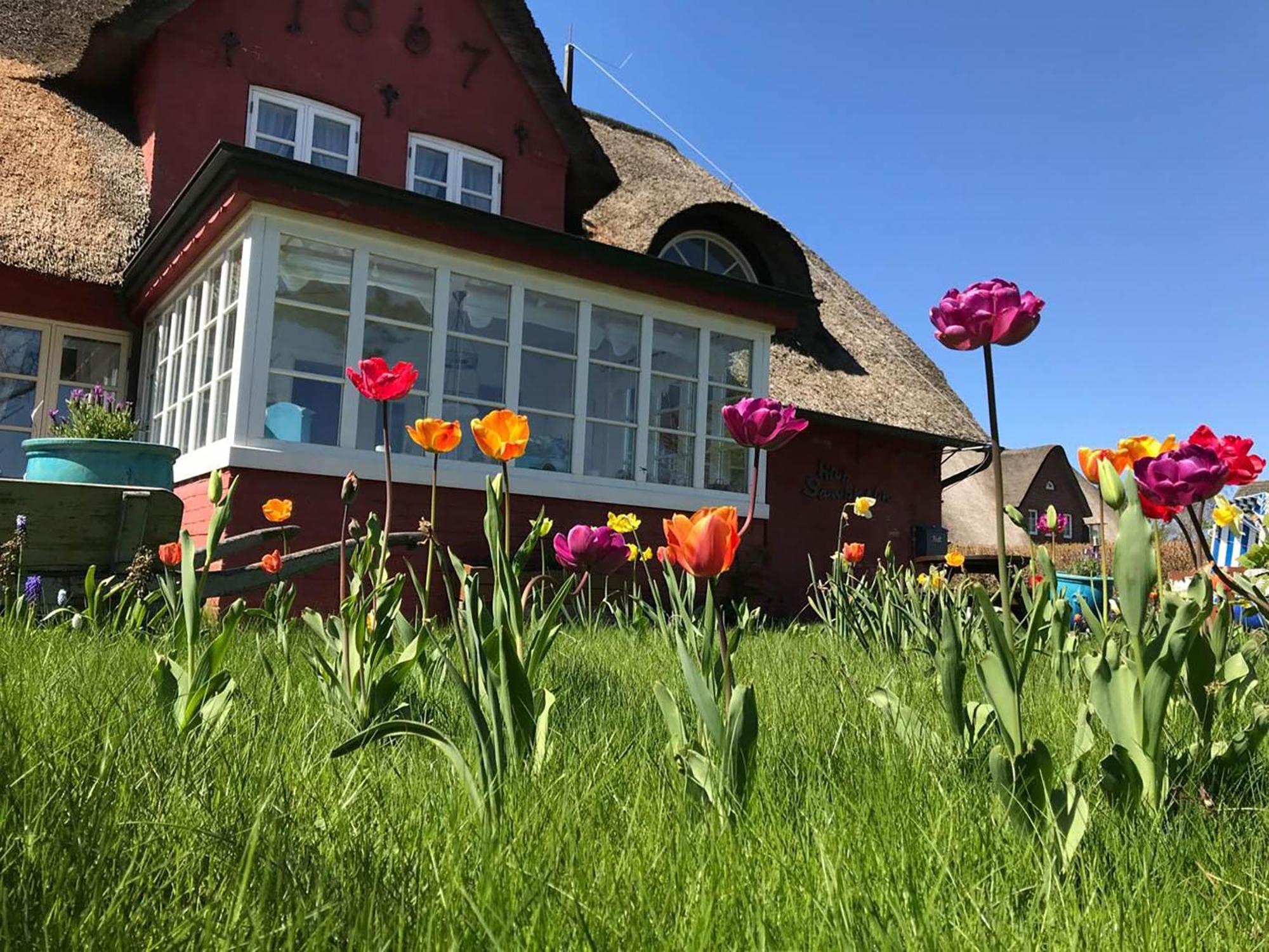 Hues Sanskiin Ferienwohnung *Brombelbei* Suddorf Dış mekan fotoğraf